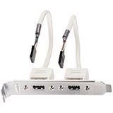 Lindy USB-Slotblechadapter 2x 5 IDC-Kupplung