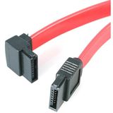 (€46,00*/1m) 0.15m Startech SATA 6Gb/s Anschlusskabel gewinkelt (€46,00*/1m) 0.15m Startech SATA 6Gb/s Anschlusskabel gewinkelt
