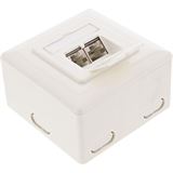 InLine Cat.6 Anschlussdose AP/UP 2x RJ45 Buchse RAL9010 weiß InLine Cat.6 Anschlussdose AP/UP 2x RJ45 Buchse RAL9010 weiß