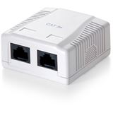 equip Dose UTP Cat.6 2-Port