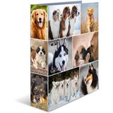 HERMA Ordner A4 Hunde