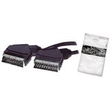 (€3,27*/1m) 1.50m ShiverPeaks SCART Anschlusskabel Scart Stecker (€3,27*/1m) 1.50m ShiverPeaks SCART Anschlusskabel Scart Stecker