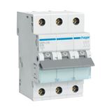 Hager Leitungsschutzschalter B 16A 3p 415V 6kA 3TE AC 50Hz Hager Leitungsschutzschalter B 16A 3p 415V 6kA 3TE AC 50Hz