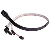 (€39,80*/1m) 0.50m Silverstone SAS Adapterkabel sf/UTP SFF-8087 (€39,80*/1m) 0.50m Silverstone SAS Adapterkabel sf/UTP SFF-8087