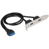Delock Slotblech 2x USB3.0
