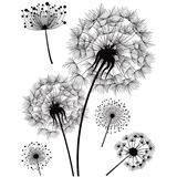 Herma Fensterbild DECOR "Pusteblume", DIN A4, Herma Fensterbild DECOR "Pusteblume", DIN A4,