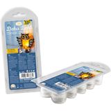 folia LED-Deko-Licht, 10 St&uuml;ck inkl. 20 Batterien