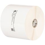 Zebra Polyethylene 3100T Gloss TT Label