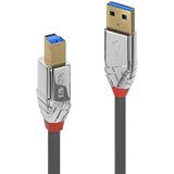 LINDY 5m USB 3.0 Typ A an B Kabel Cromo Line 5 Gbit/s