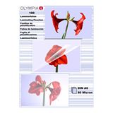 Olympia Laminierfolien DIN A6, 100 St&uuml;ck 80 mic