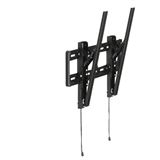 Hagor BL Tilt 400 neigbare Wandhalterung fuer 81-124cm 32-49Zoll Hagor BL Tilt 400 neigbare Wandhalterung fuer 81-124cm 32-49Zoll