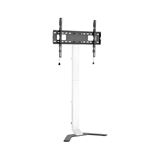 Techly TV Standfuß Super Slim LCD/LED/PlasmaTV 32-70"