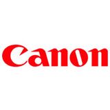 Canon Tinte PFI-301GY 1495B001 grau