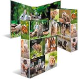 Herma Ordner A4 Nagetier