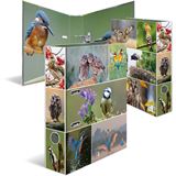 Herma Ordner A4 Heimatv&ouml;gel