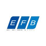 EFB Elektronik 19Zoll 09HE Wandgehäuse faltbar Tiefe 600 mm EFB Elektronik 19Zoll 09HE Wandgehäuse faltbar Tiefe 600 mm