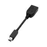 PNY Zubehör: Kabelpeitsche mDP =>DVI-D (Single-L.)