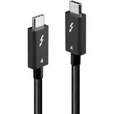 1.00m Lindy Thunderbolt 4 Kabel, passiv