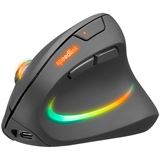 Speedlink Piavo Pro 2.4 GHz und USB schwarz (kabellos)