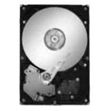 160GB Seagate Barracuda 7200.10 ST3160815AS 8MB 3.5" (8.9cm)