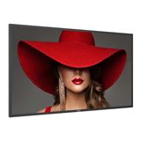 43" (109,22cm) Philips D-Line 43BDL4550D schwarz 3840x2160 1x