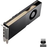 32GB NVIDIA RTX 5000 Ada Generation - Grafikkarten - RTX 5000 Ada