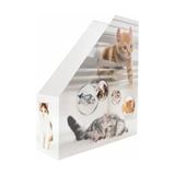 HERMA Stehsammler 19717 Katzen Karton, DIN A4