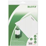 LEITZ 10 Einsteck-Rückenschilder 1691 grau für 6,2 cm LEITZ 10 Einsteck-Rückenschilder 1691 grau für 6,2 cm