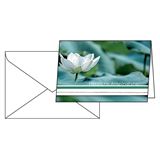 SIGEL 10 Trauerkarten Water Lily DIN A6