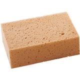 magnetoplan Tafelschwamm