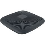 LEITZ Active Balance-Kissen grau