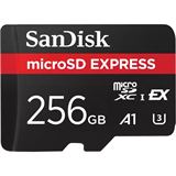 256GB SanDisk Express micro SD card
