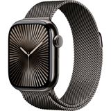 Apple Watch S10 (2024) Titan Cellular 42mm schiefer (Milanaise