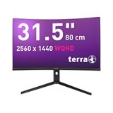 31.5" (80,01cm) Terra Curved 3285W schwarz 2560x1440