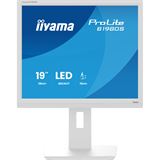 19" (48,26cm) iiyama ProLite B1980S-W1 Weiß 1280x1024