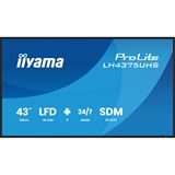 42.5" (107,95cm) iiyama ProLite LH4375UHS-B2AG schwarz 3840x2160