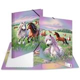 Herma Sammelmappen A4 Karton Pferdewelt