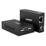 Lindy 100m 2 Port USB 2.0 Cat.6 Extender