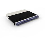 Patchbox Boxes Cat 6A 8HE STP 0,8m lila