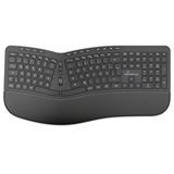 MediaRange ergonomische Multimedia Funk-Tastatur,QWERTZ, sw