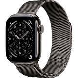 Apple Watch S11 2025 Titan Schiefer Cellular 42mm (Milanaise Armband schiefer)