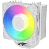 ARCTIC Freezer 36-S A-RGB wei&szlig; Tower K&uuml;hler