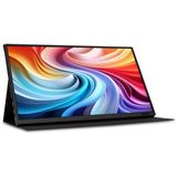 15,6" (39,62cm) Acer PM161QTbmiuuux schwarz 1920x1080 1x Micro 15,6" (39,62cm) Acer PM161QTbmiuuux schwarz 1920x1080 1x Micro