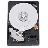 1TB WD WD10EACS Caviar GP 16MB SATA2