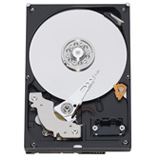 1000GB WD WD10EACS Caviar GP 16MB SATA2