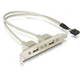 Delock Slotblech USB 5pin zu 2x USB2.0 extern