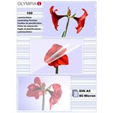 Olympia 9167 Laminierfolie POUCHES A5