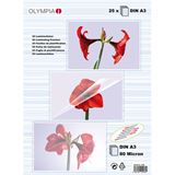 Olympia 9180 Laminierfolie POUCHES A3