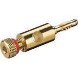 Good Connections Bananenstecker mit Schraubanschluß vergoldet Good Connections Bananenstecker mit Schraubanschluß vergoldet