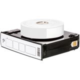 Zebra Z-BAND DIRECT ADULT 25X279MM (10006995K)